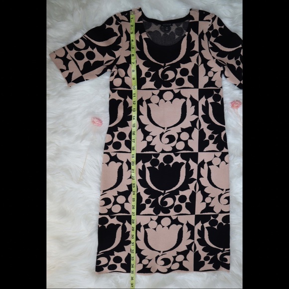 Ann Taylor Black & Cream Shift Sweater Dress - Picture 7 of 12
